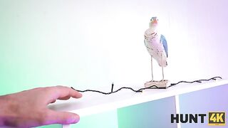 Hunt4k – Novella Night – Hairy Pother And The Chamber Of Kinks 26 06 2024